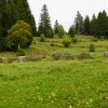 09 b Schluchensteig Etappe 4 - 6